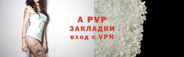 PSILOCYBIN Шали